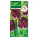 Bild 2 von Finest Garden Tulpen