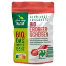 Bild 1 von NUR NUR NATUR Gefriergetrocknete Bio-Früchte 25 g