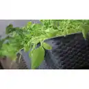 Bild 2 von Pflanzkasten-Komplettset - Dunkelbraun