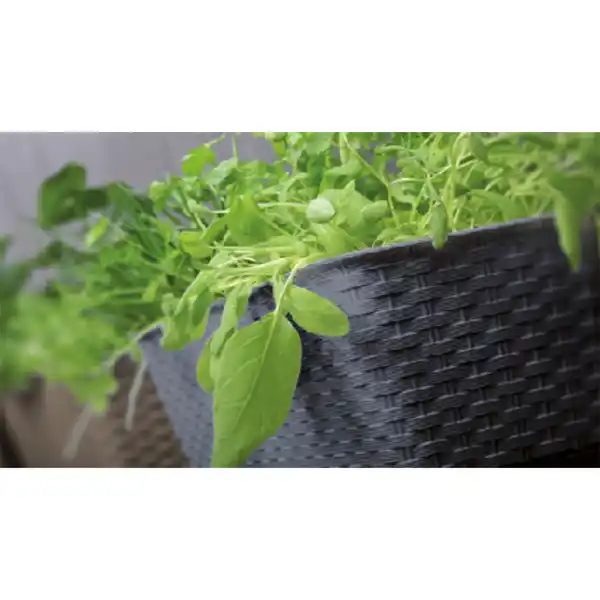 Bild 2 von Pflanzkasten-Komplettset - Dunkelbraun