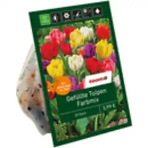 toom Gefüllte Tulpen 'Mix' 20 Zwiebeln