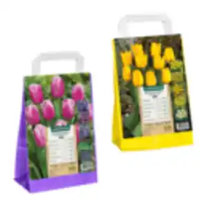 GARDENLINE Blumenzwiebeln Farbthema Herbst