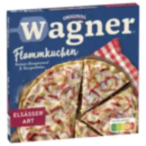 Wagner Steinofen Pizza, Pizzies oder Flammkuchen