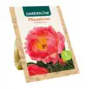 Bild 4 von GARDENLINE Premium-Pfingstrosenknolle