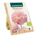 Bild 3 von GARDENLINE Premium-Pfingstrosenknolle