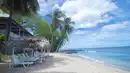 Bild 1 von Tobago - 3* Tropikist Beach Hotel & Resort Tobago