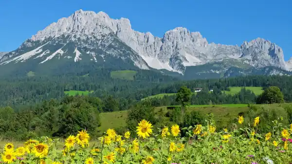 Bild 1 von Eigene Anreise Österreich - Südtirol: Geführte Alpenüberquerung ab/an Wilder Kaiser