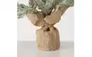 Bild 3 von Weihnachtsbaum mit Zapfen Teppo, 42 cm