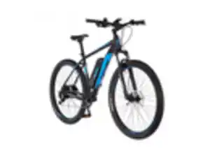 FISCHER E-Bike Mountainbike MONTIS EM 1724.1, MTB, 29 Zoll, Modell 2022