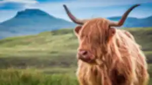 Rundreisen Großbritannien - Schottland: Rundreise ab/an Edinburgh