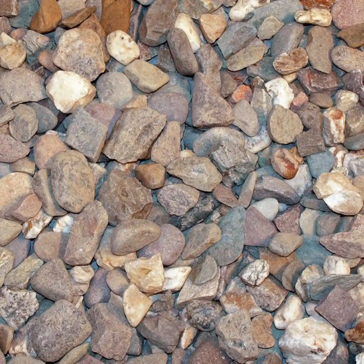 Bild 1 von Rheinkies 8 - 16 mm 25 kg