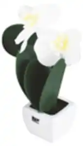 Deko-Orchidee