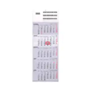 Fünfmonatskalender 2025 54 x 24 cm