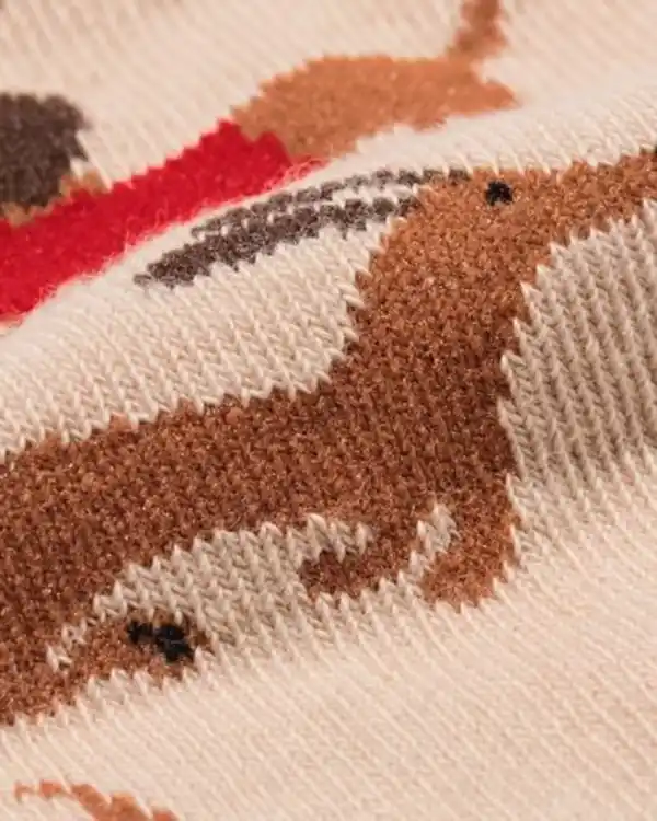 Bild 2 von Socken mit Baumwolle Dackel – 5 Paar braun