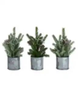 Dehner Kartenhalter-Set, ca. H15 cm, 3er-Set