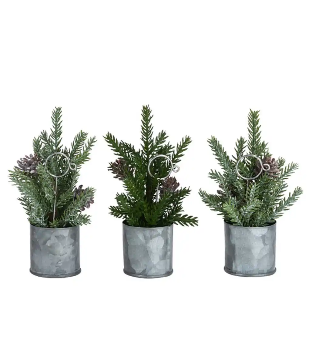 Bild 1 von Dehner Kartenhalter-Set, ca. H15 cm, 3er-Set