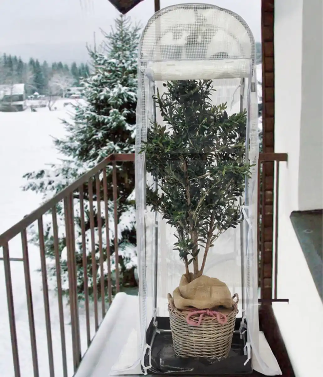 Bild 4 von Videx Frostschutzhaus Snow, transparent, ca. B80/H215/T50 cm