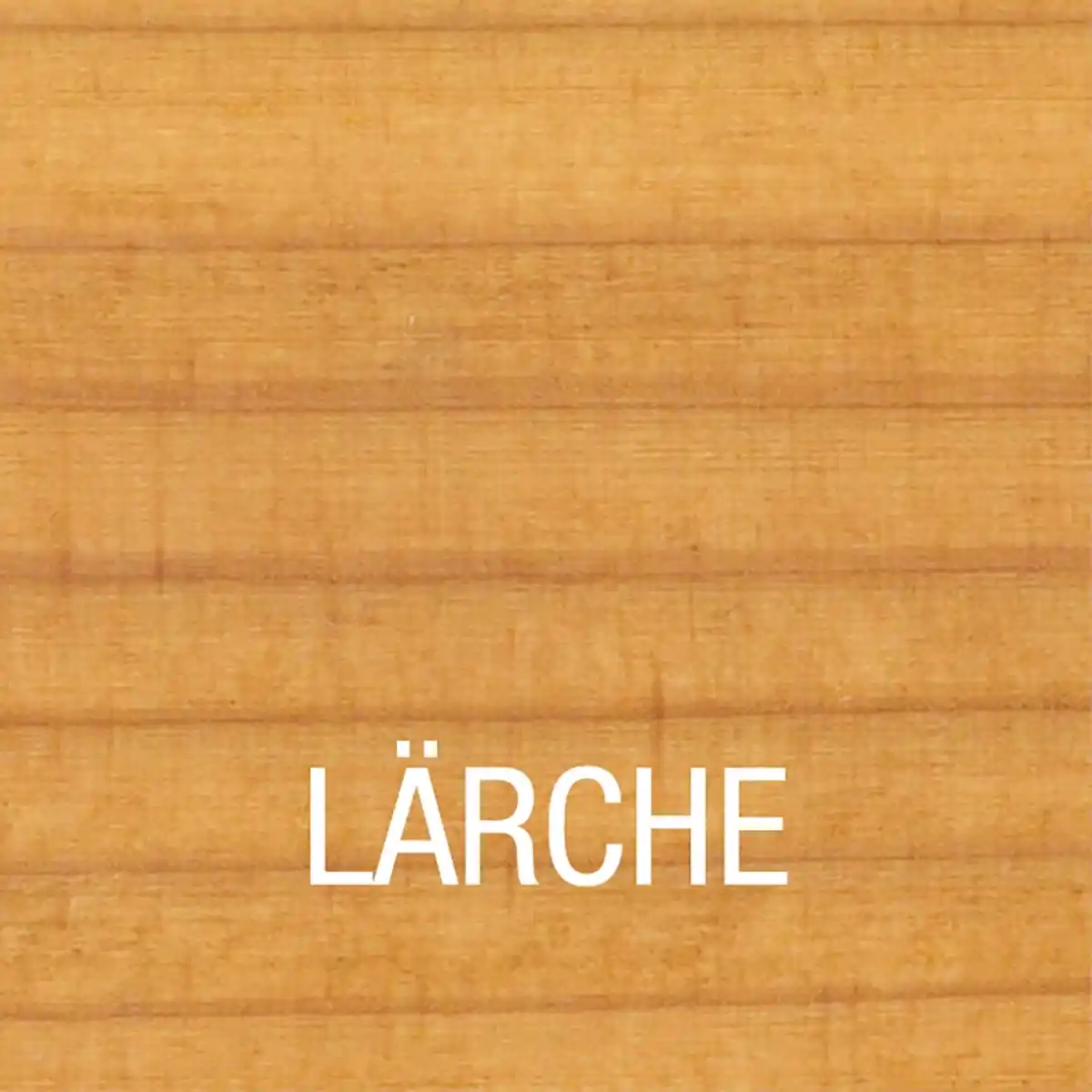 Bild 2 von Bondex Lärchen-Öl 3 l