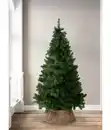 Bild 2 von Dehner Künstlicher Weihnachtsbaum Tanne 'Aron', 90 cm