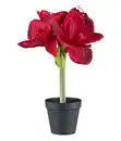 Bild 2 von Gasper Kunstpflanze Amaryllis, ca. H32 cm, 2er-Set