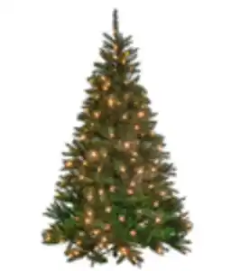 Künstlicher Weihnachtsbaum Tanne 'Bristlecone' mit LED-Beleuchtung, 185 cm