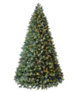 Dehner künstlicher Weihnachtsbaum 'Alva' mit LED-Beleuchtung, 240 cm