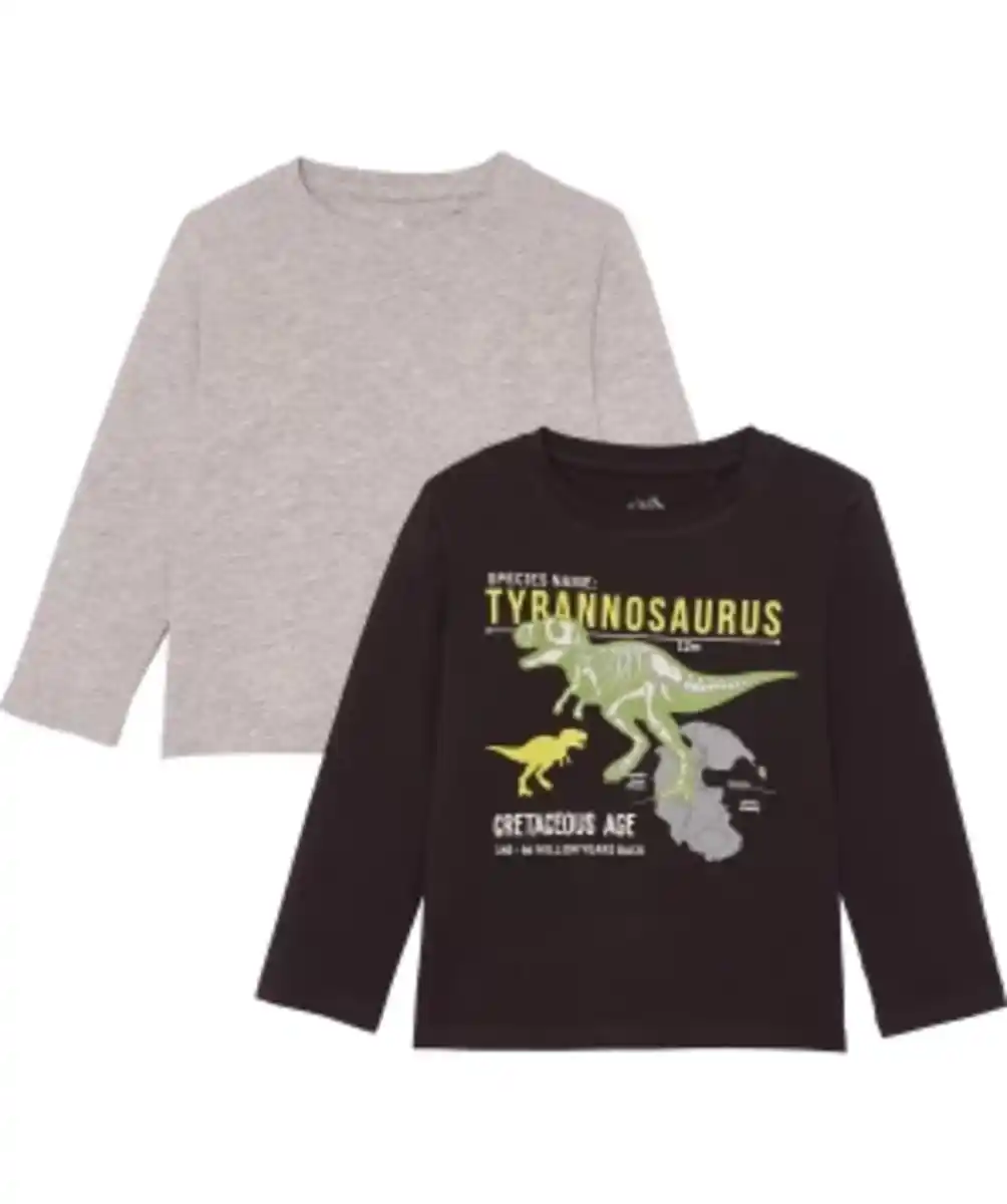 Bild 1 von Langarmshirts Dinosaurier, 2er-Pack, schwarz/grau