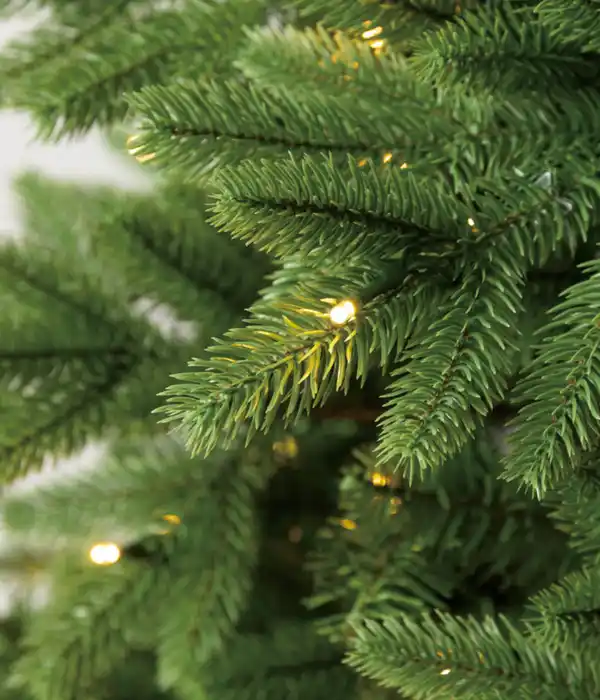 Bild 4 von Dehner künstlicher Weihnachtsbaum 'Lyra' mit LED-Beleuchtung, 240 cm