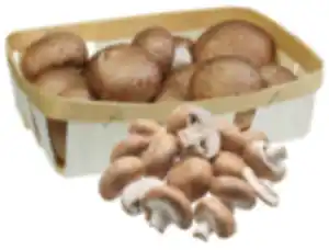 Champignon