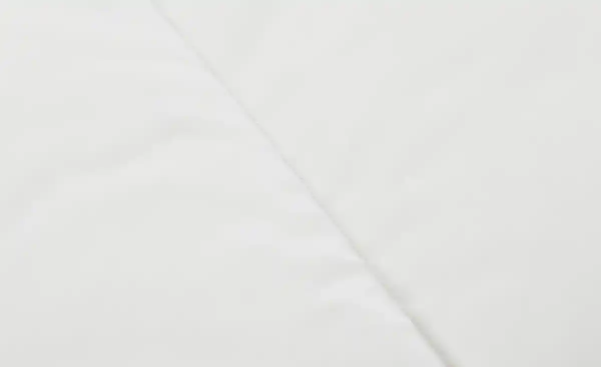 Bild 2 von Paradies Daunenbett Rabea