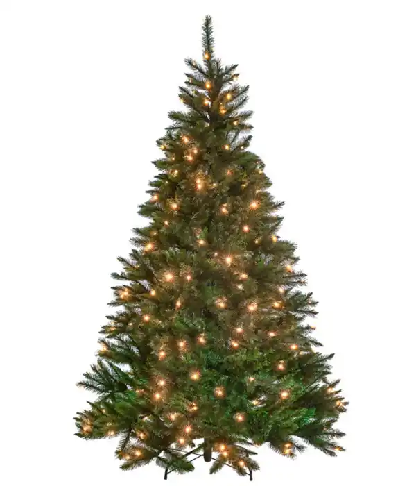 Bild 1 von Künstlicher Weihnachtsbaum Tanne 'Bristlecone' mit LED-Beleuchtung, 215 cm