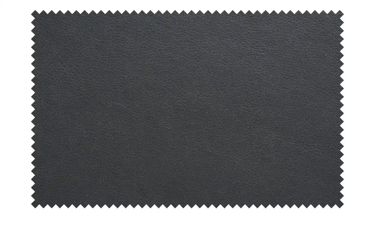 Bild 3 von Max Schelling Einzelsofa Ledersofa Sentence Premium