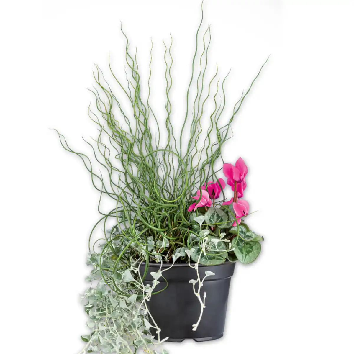 Bild 2 von Herbst Hexe Trio