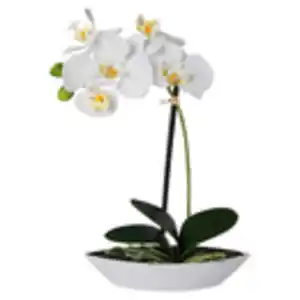 Orchidee weiß Kunststoff H: ca. 30 cm