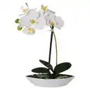 Bild 1 von Orchidee weiß Kunststoff H: ca. 30 cm