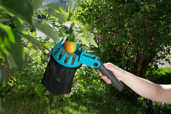 Bild 2 von GARDENA combisystem-Obstpflücker