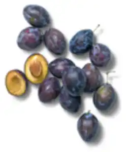 Dtsch. Zwetschgen, 1,5-kg-Korb