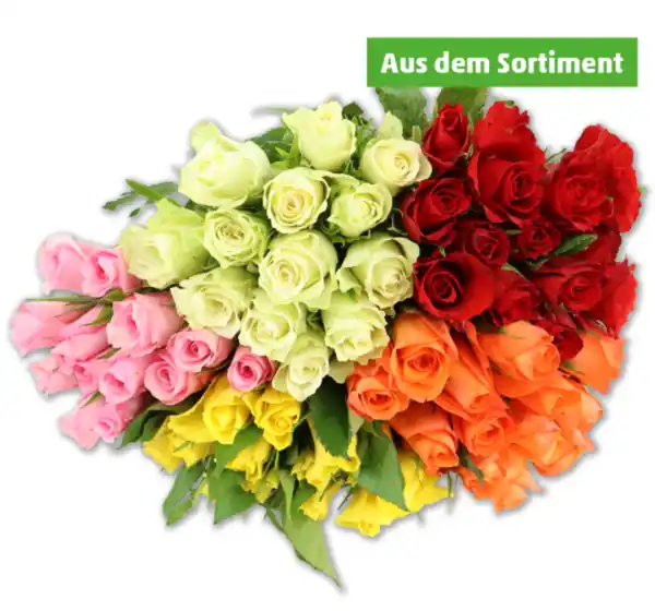 Bild 1 von Wunderschöne Rosen