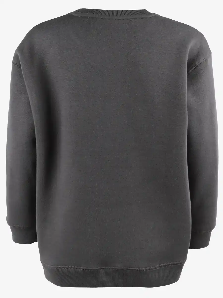 Bild 2 von Jungen Sweatshirt mit Schriftprint Grau