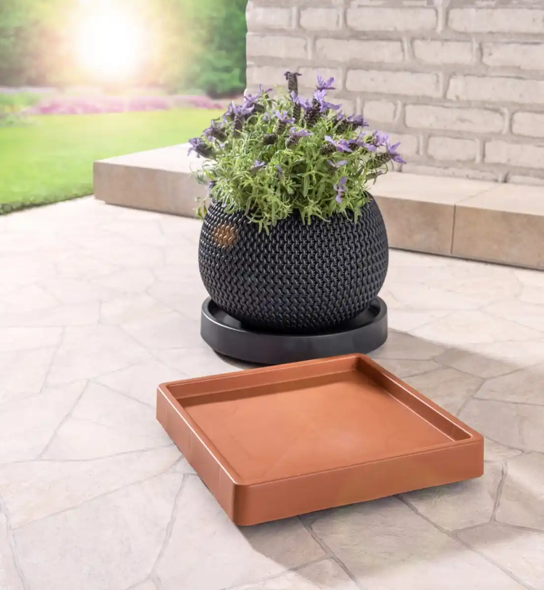 Bild 1 von Pflanzenroller m. erhöhtem Rand // eckig // 29 x 29 x 5,5 cm // terrakotta