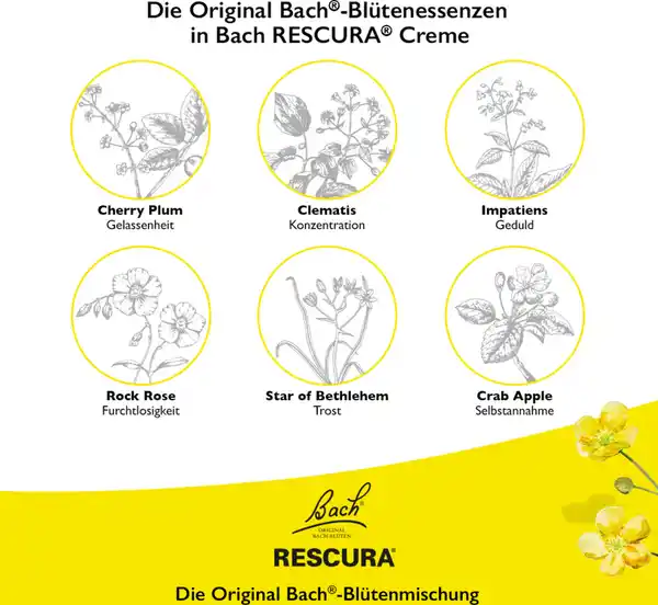 Bild 4 von Bach RESCURA Bachblüten Creme, 30 ml