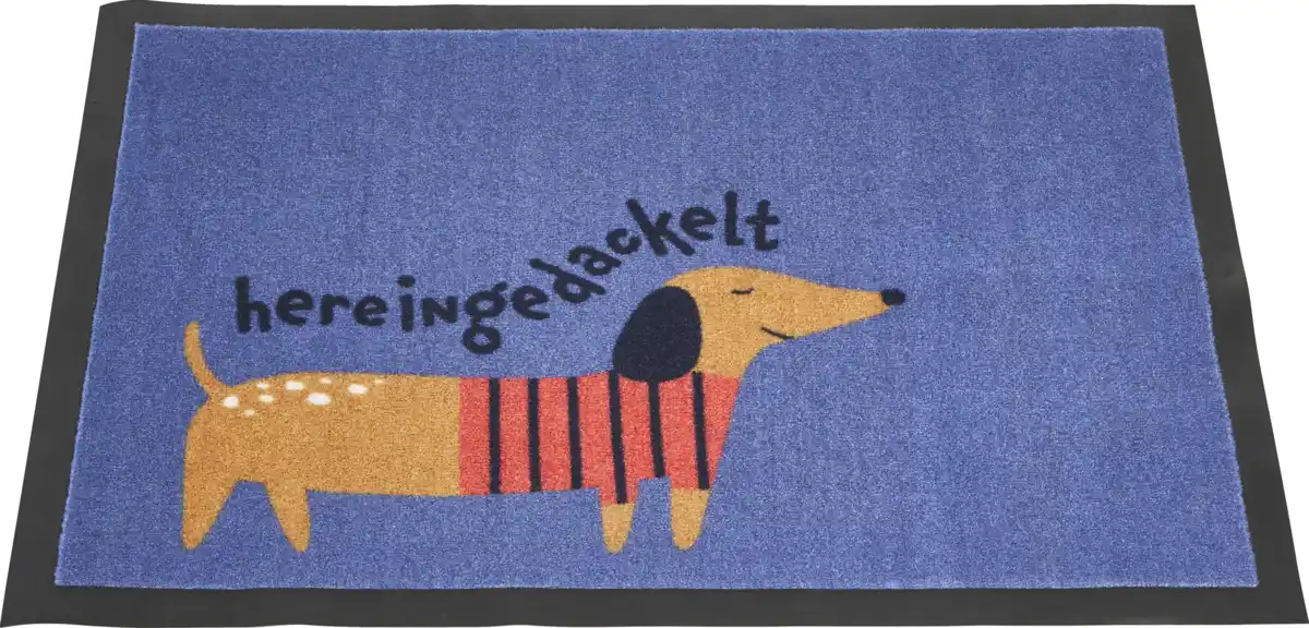 Bild 1 von IDEENWELT Schmutzfangmatte Hereingedackelt