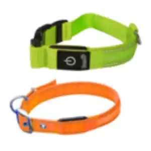 ROMEO LED-Hundehalsband