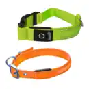 Bild 1 von ROMEO LED-Hundehalsband