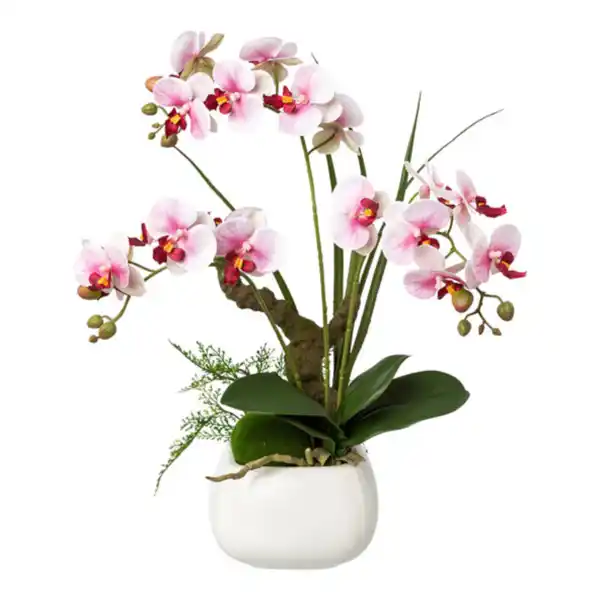 Bild 1 von Künstl. Phalaenopsis im Keramiktopf, 46 cm