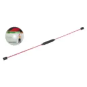 Swing Stick mit DVD