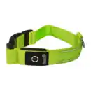 Bild 4 von ROMEO LED-Hundehalsband