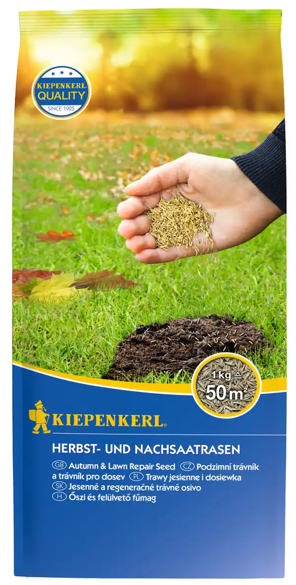 Bild 1 von Kiepenkerl Saatgut Herbst- und Nachsaatrasen 1 kg, für 50 m²