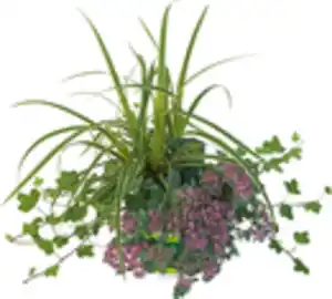 Trio-Mio Herbstzauber 5 l Container