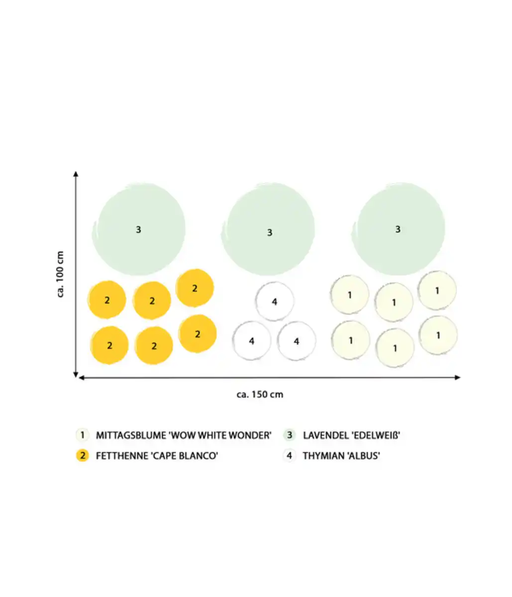 Bild 2 von Stauden-Set Kühle Kombi für heiße Tage, 18-teilig